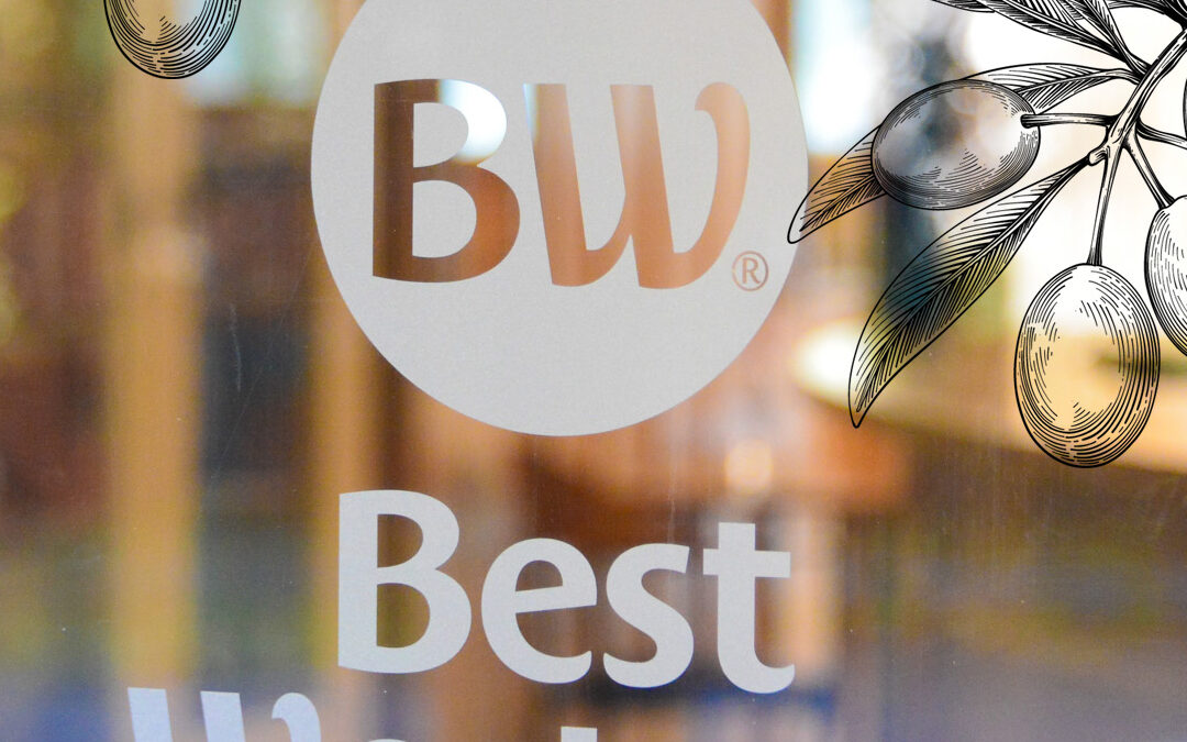Création de site internet pour un hôtel BEST WESTERN